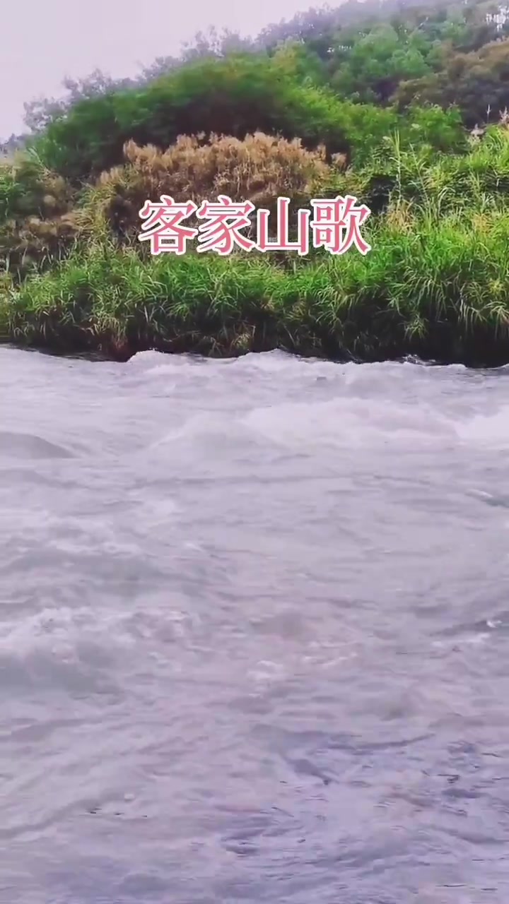 客家山歌:做人家娘细思量,山歌大师钟伟华