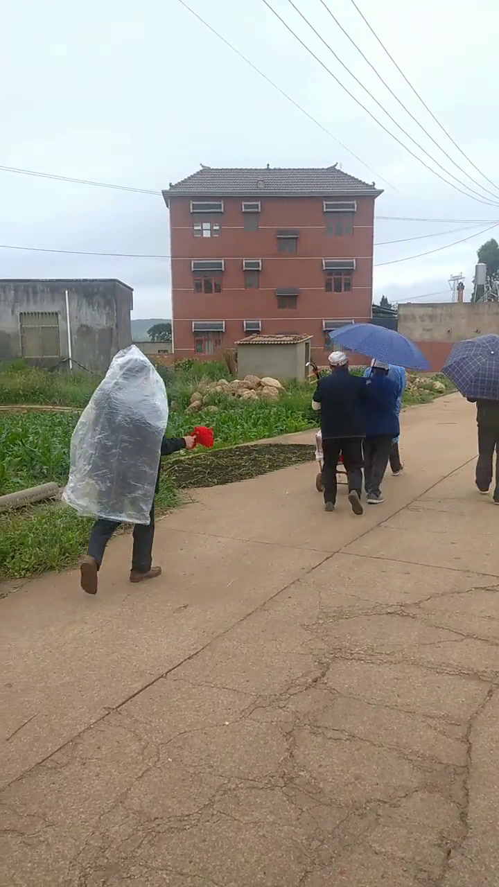 雨中情农村风俗传统