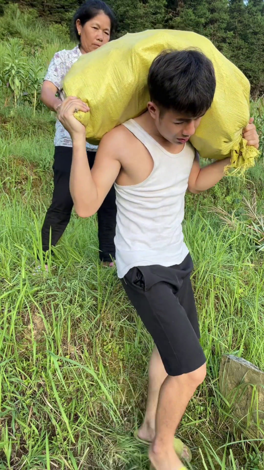 山里交通不方便山路也比较难走,所以都是人干这些体力活,父母年纪都大