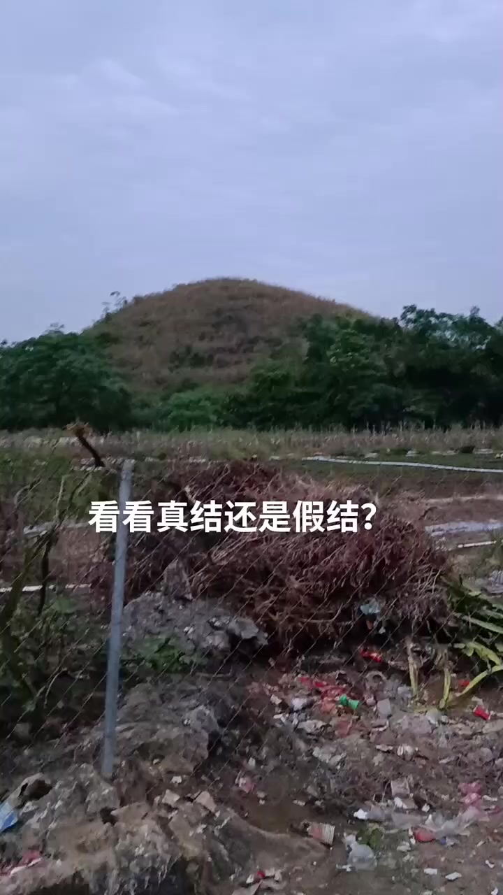 广西状元乞丐墓