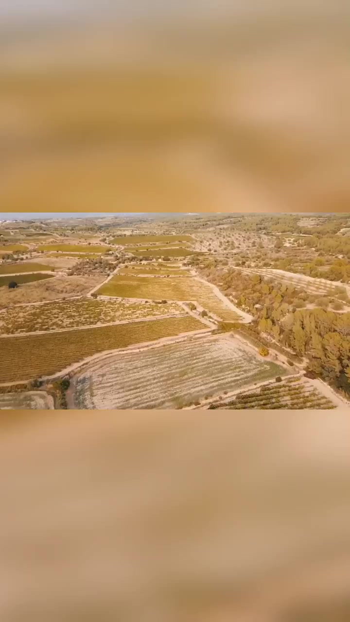 退耕还林七不准