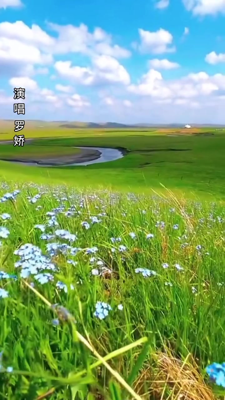 绿色的军衣