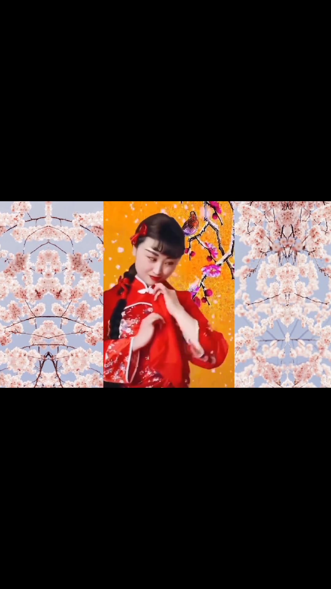 《白毛女》选段二胡表演 北风吹雪花飘