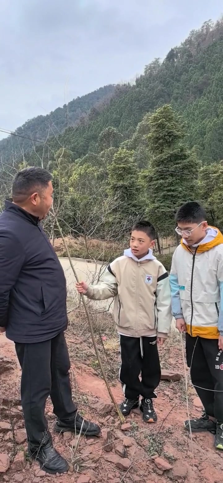 黄荆条子出好人,支持老师合理惩戒学生