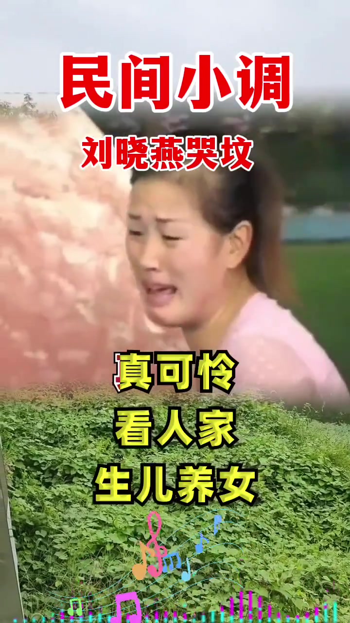 刘晓燕哭坟
