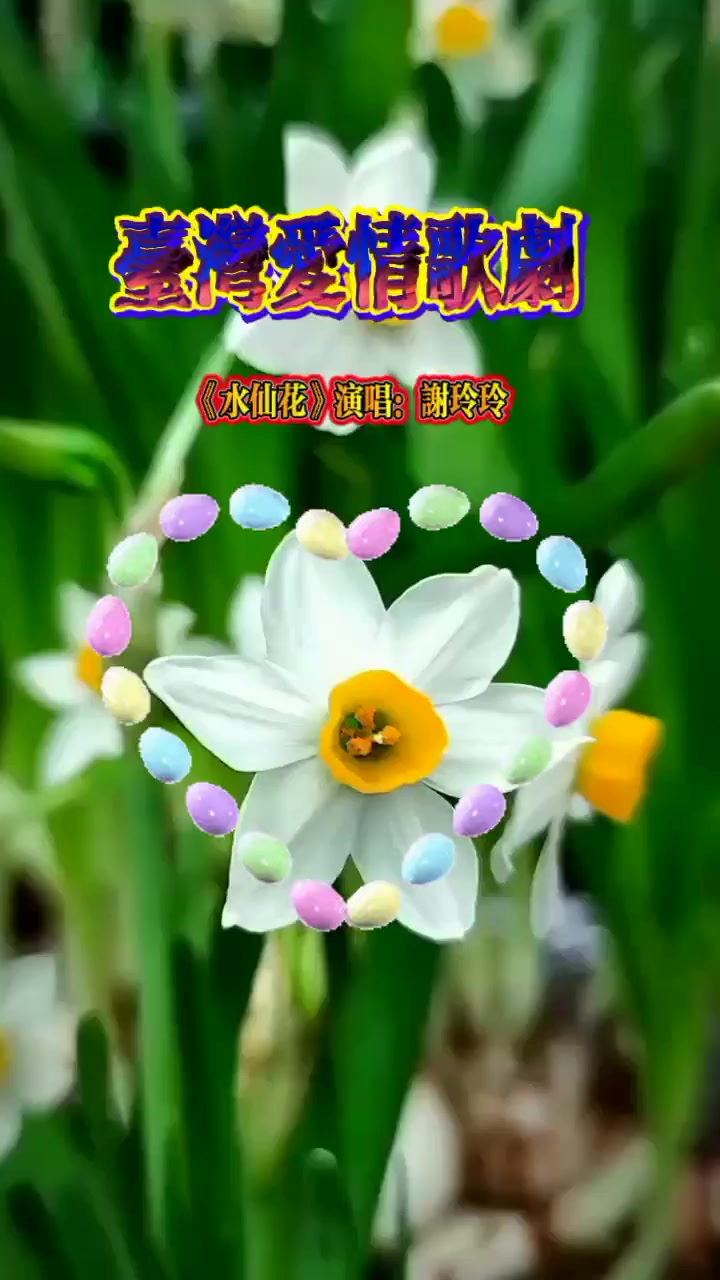 台湾爱情歌剧(水仙花)谢玲玲原唱,多谢支持