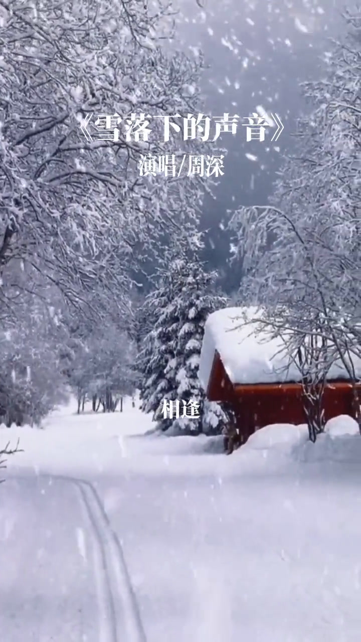 周深《雪落下的声音》