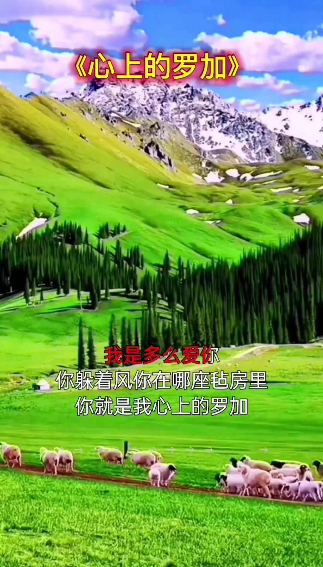 草原歌曲 心上的罗加