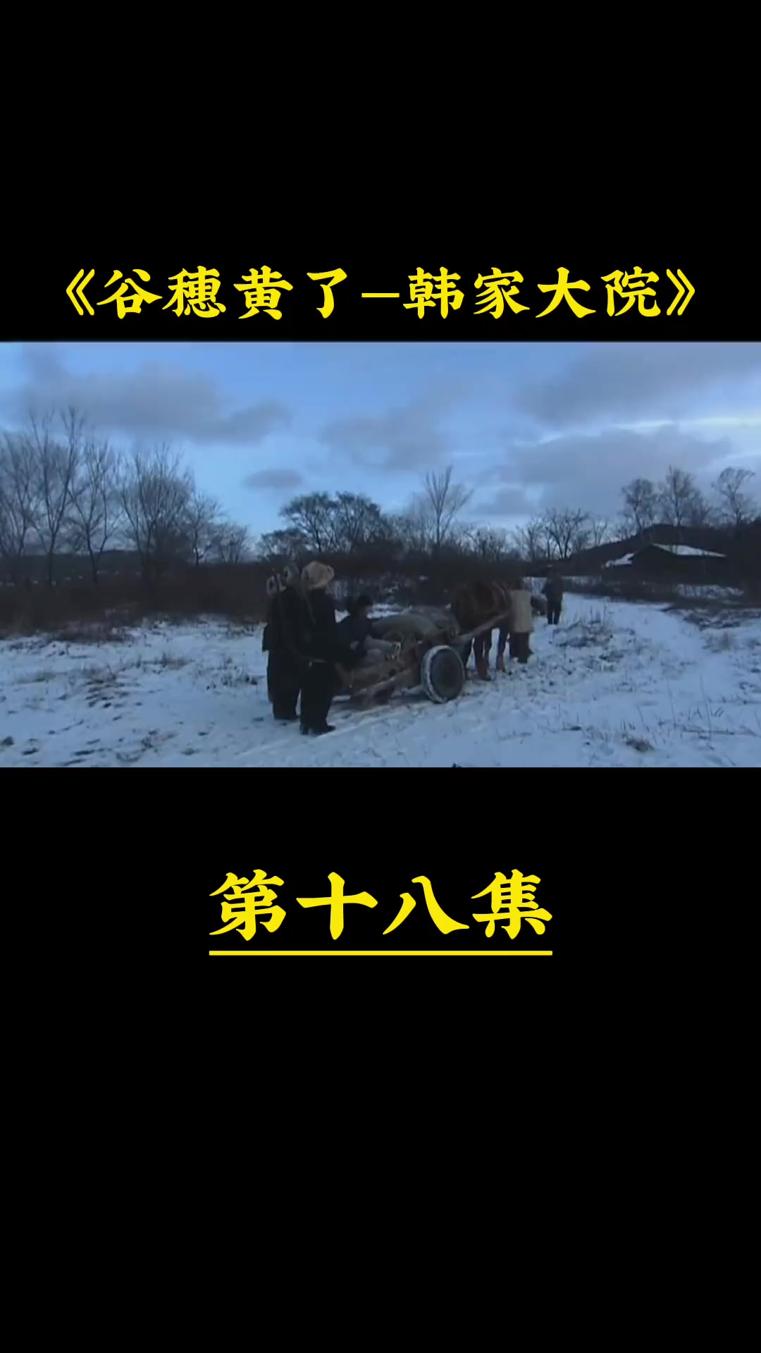 谷穗黄了-韩家大院