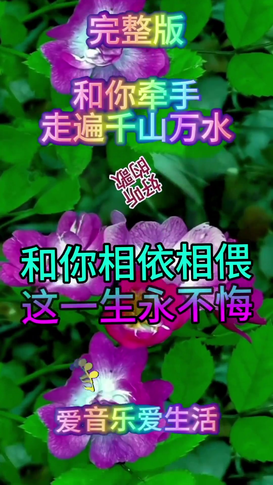 《和你牵手走遍千山万水》完整版