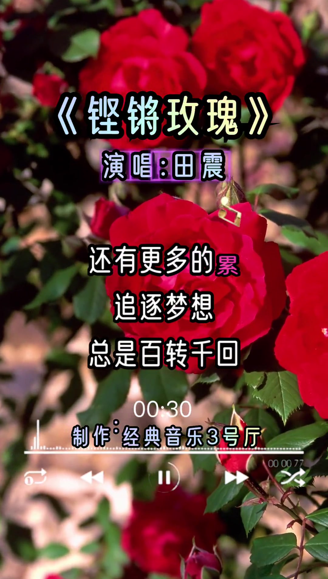 铿锵玫瑰 田震 经典老歌