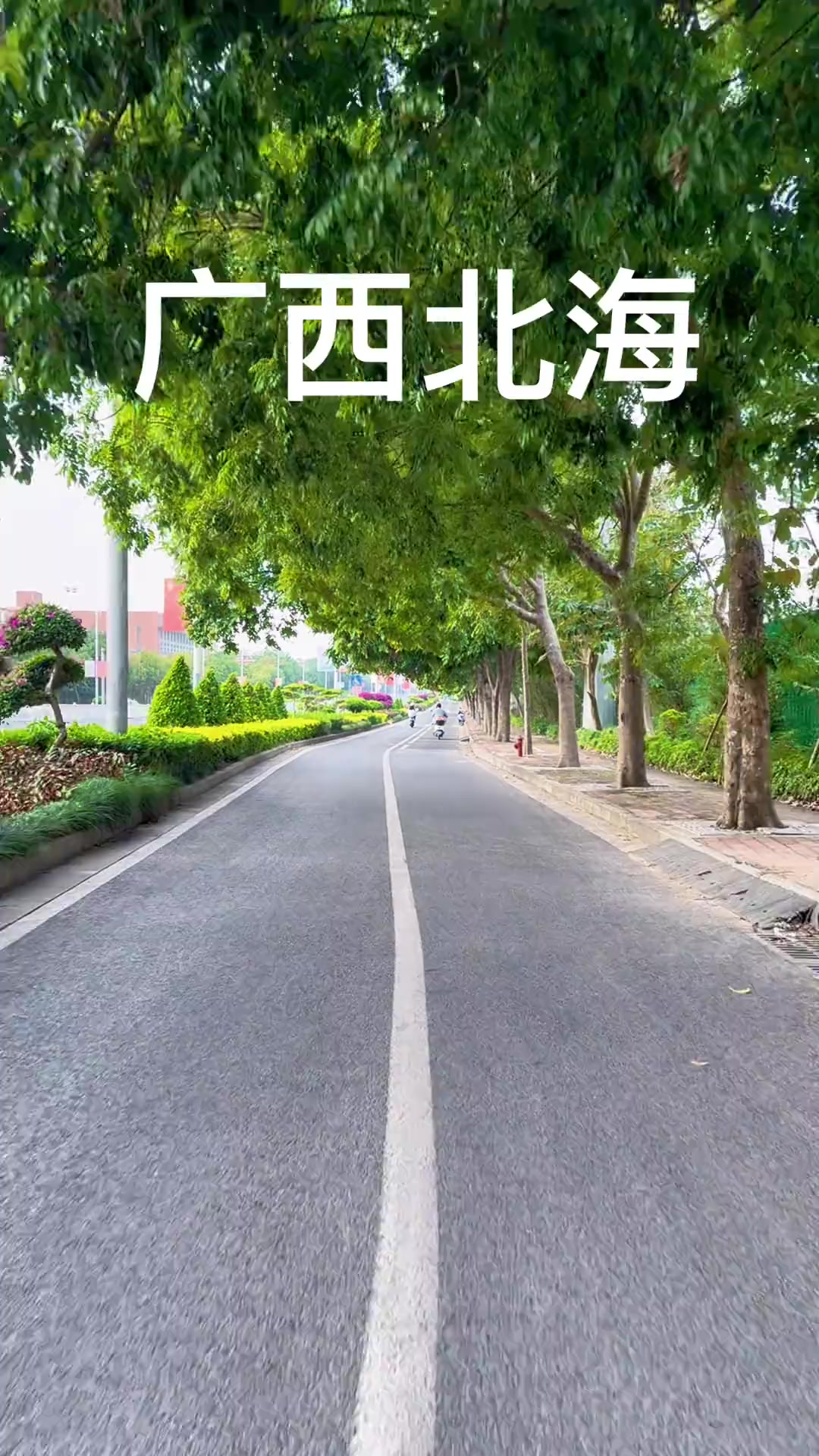 如果你来不了北海,我把北海拍给你看,这里是广西北海世纪大道