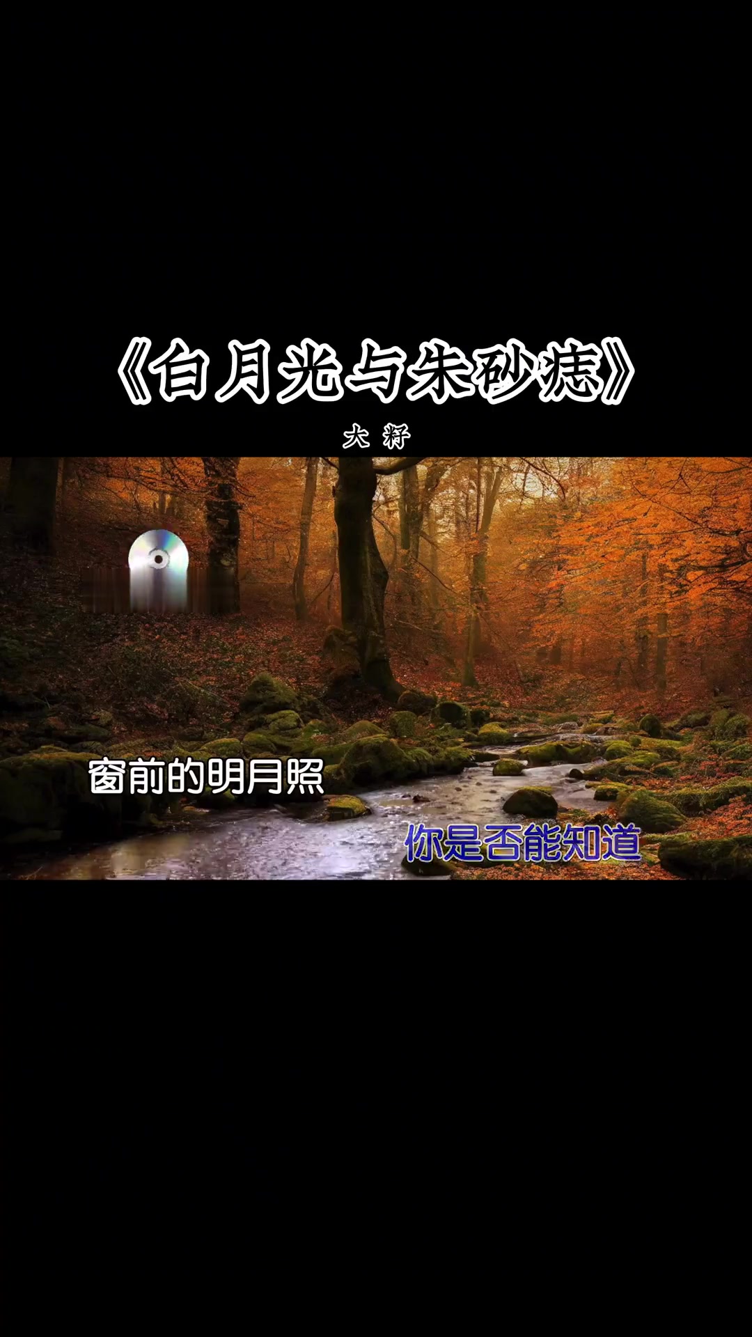 时光匆匆的跑《白月光与朱砂痣》