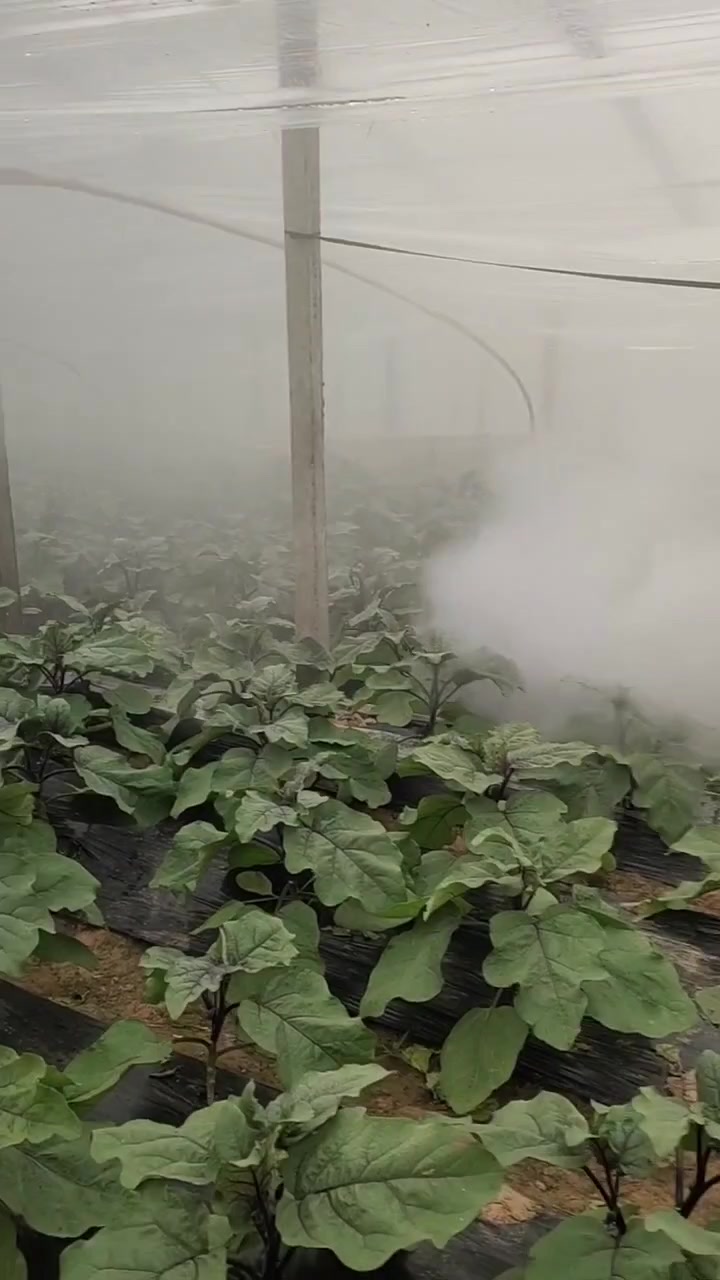 新型大棚打药冷雾机 草莓辣椒喷药弥雾机