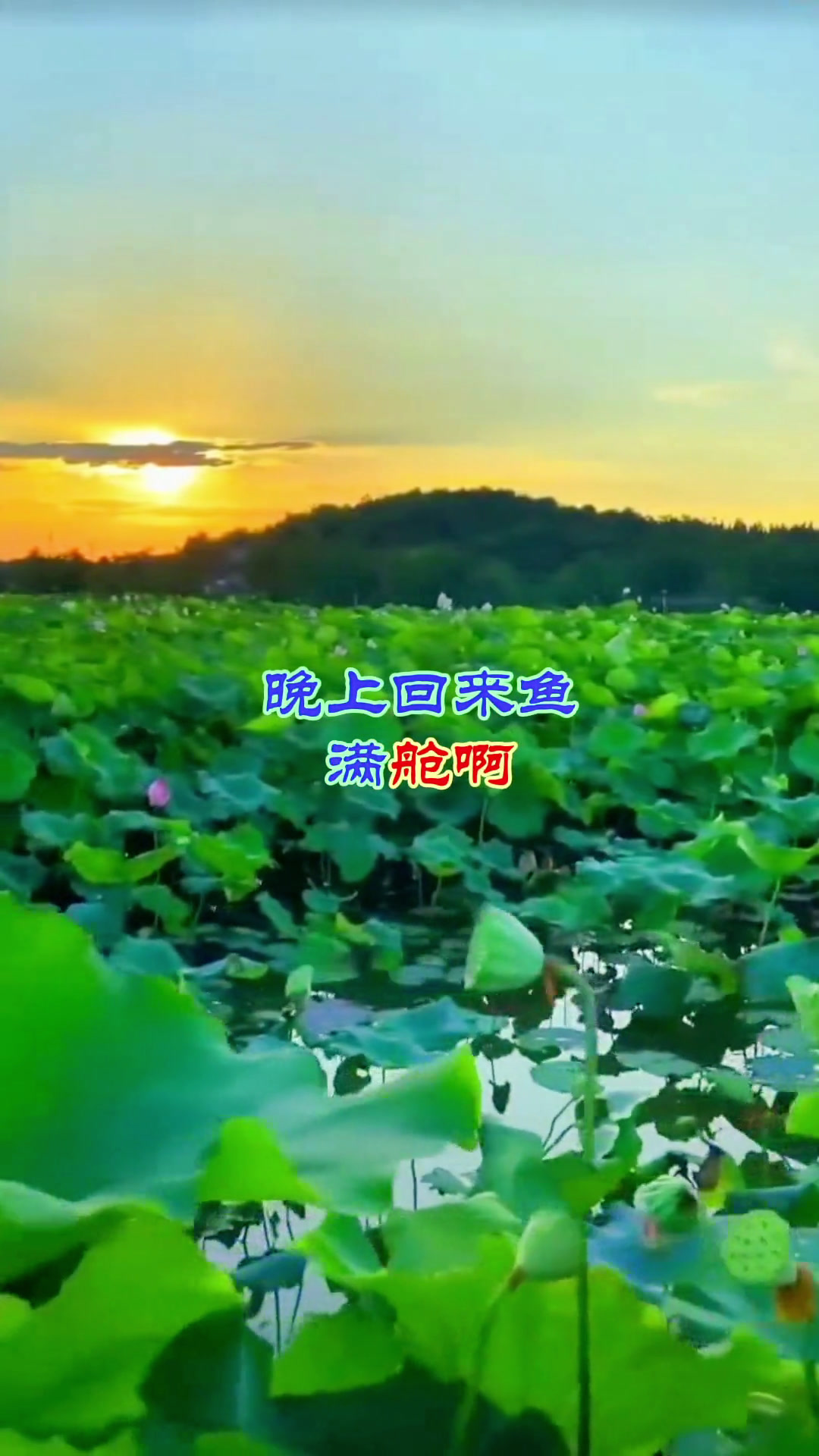 洪湖水浪打浪歌曲原唱(王玉珍洪湖水浪打浪歌曲原唱)