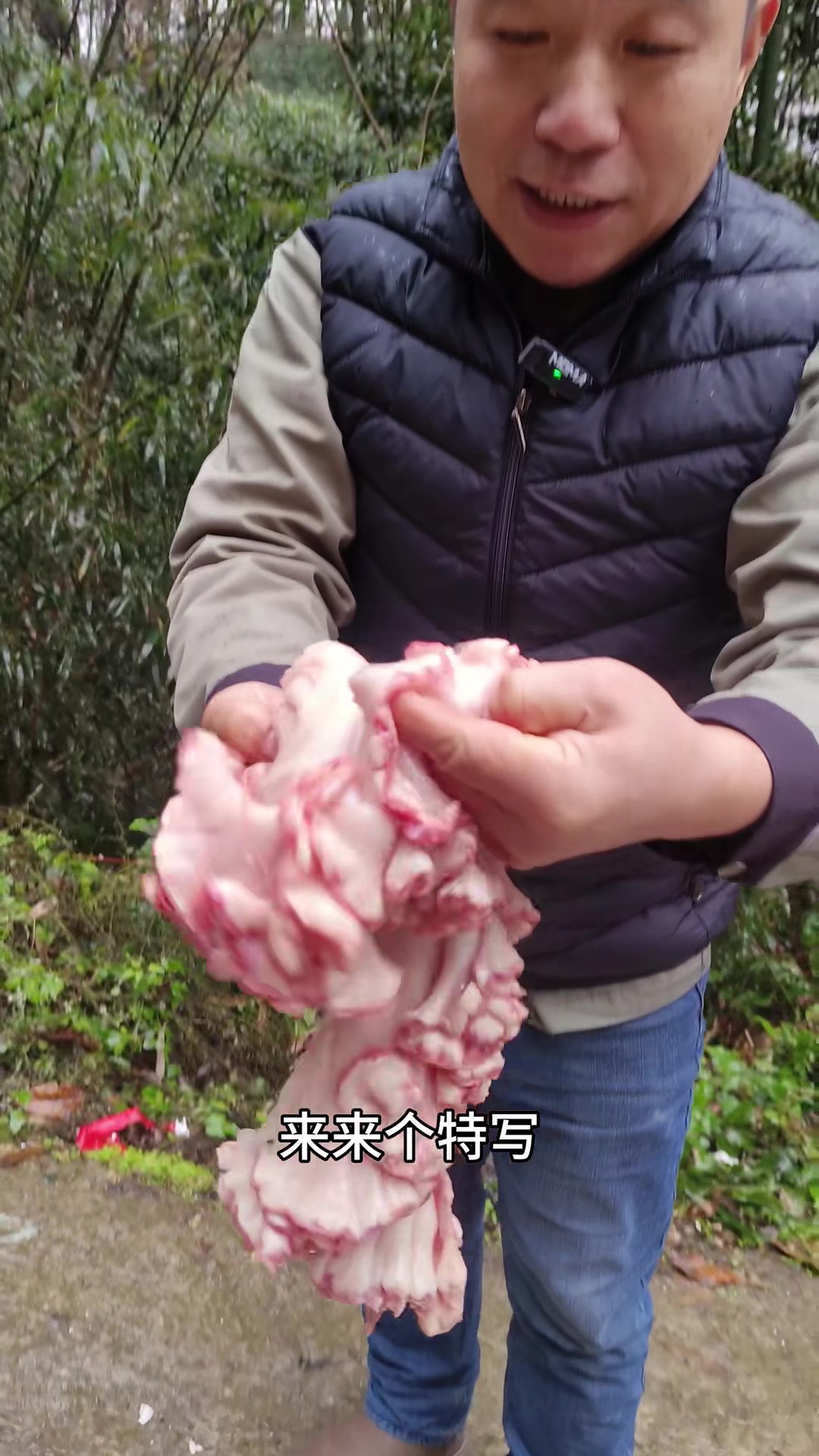 猪身上的三种油,板油,网油,鸡冠油
