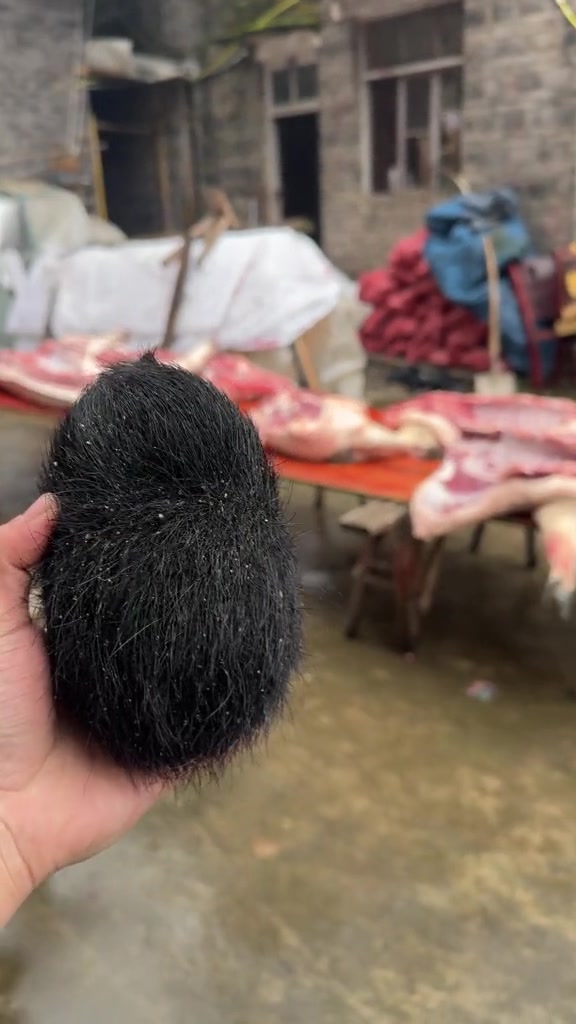 猪神砂中药猪神砂