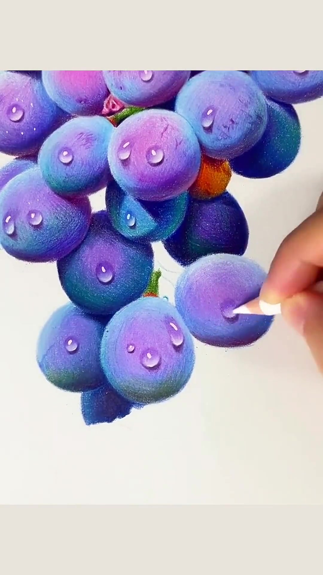 零基础彩铅葡萄教学
