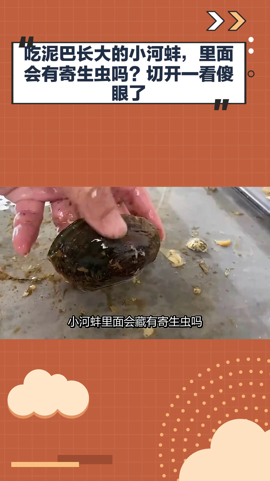 吃泥巴长大的小河蚌,里面会有寄生虫吗?切开一看傻眼了