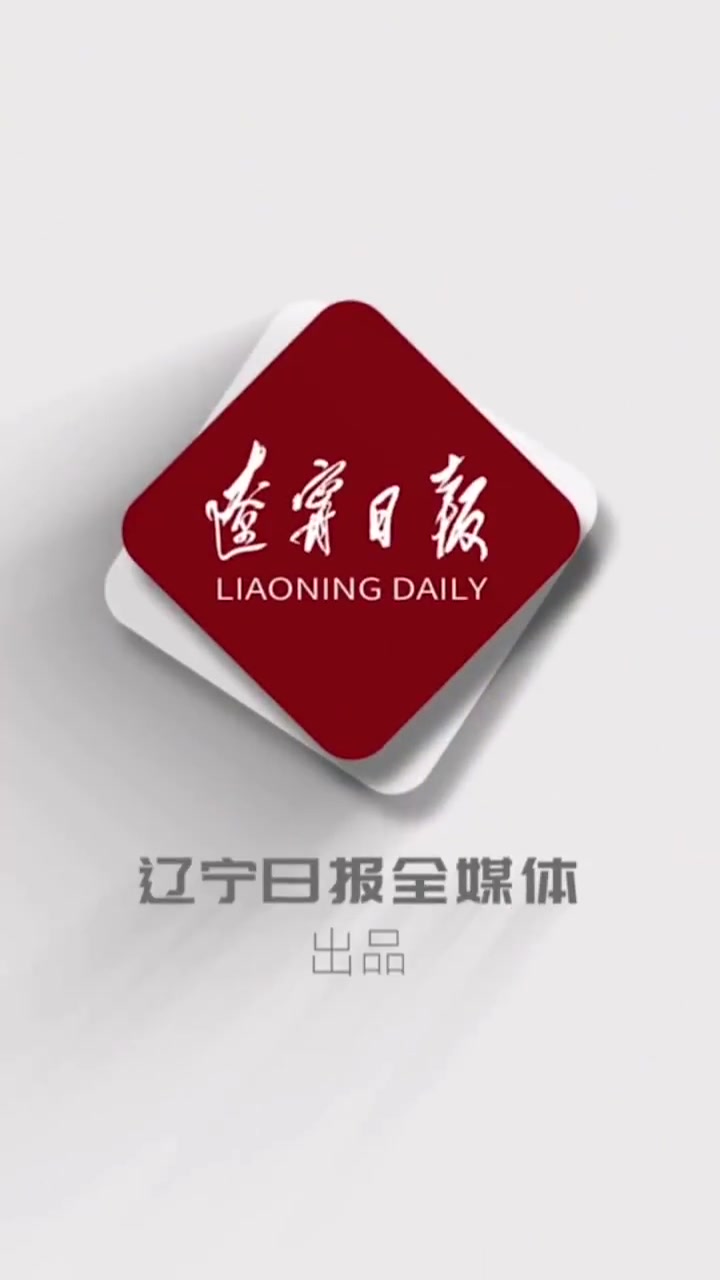 观众排长队看辽博《洛神赋图》」(辽宁日报)冬日雪暖阳撒欢儿在沈阳