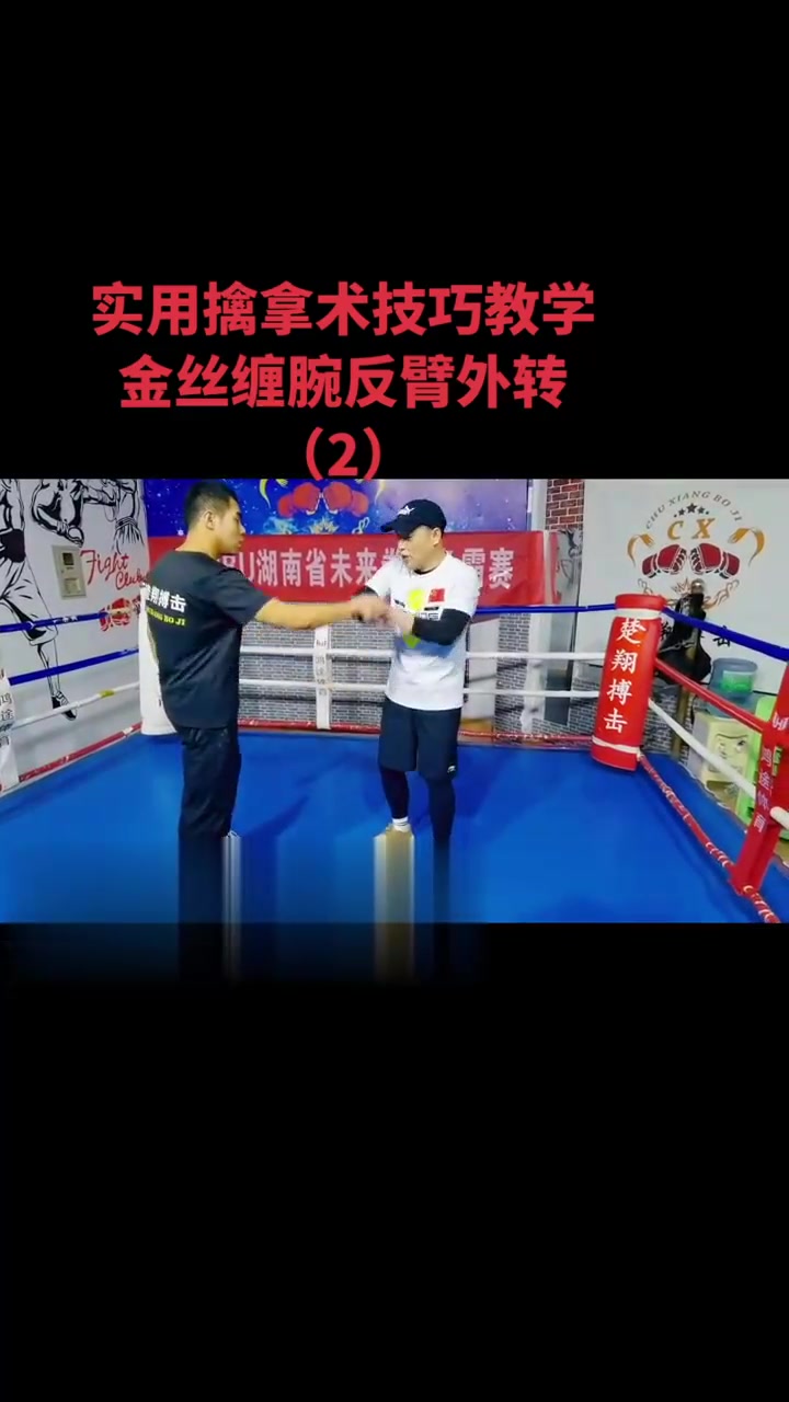 实用擒拿格斗术教学
