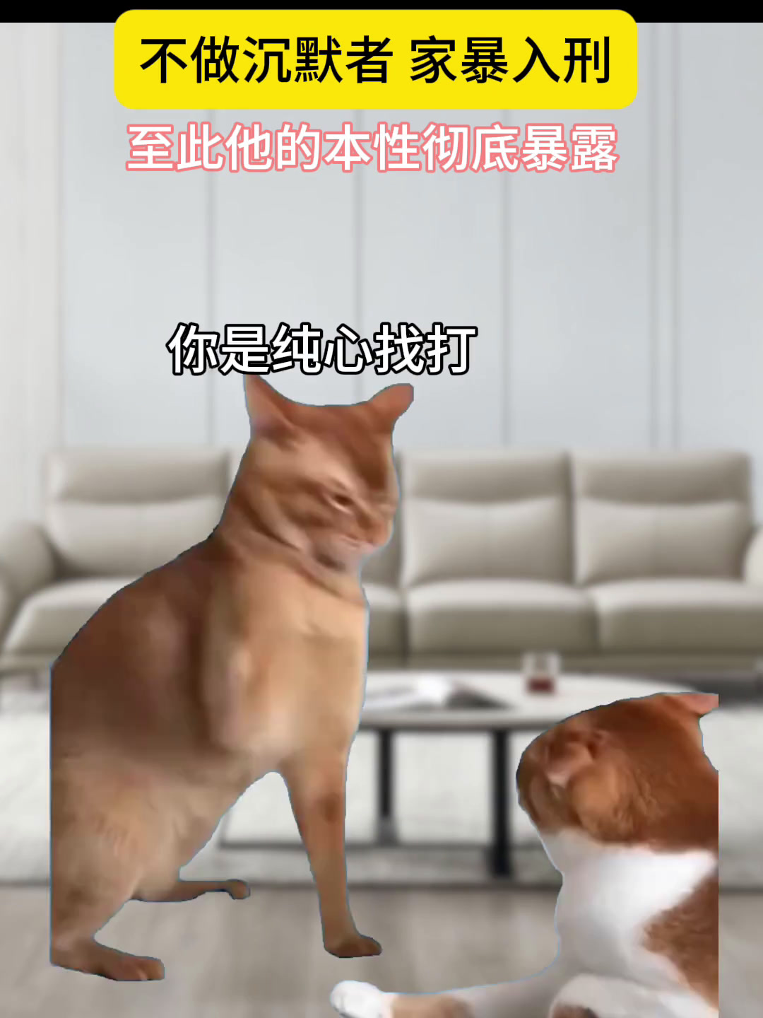 猫meme小剧场猫meme家暴零容忍女性安全