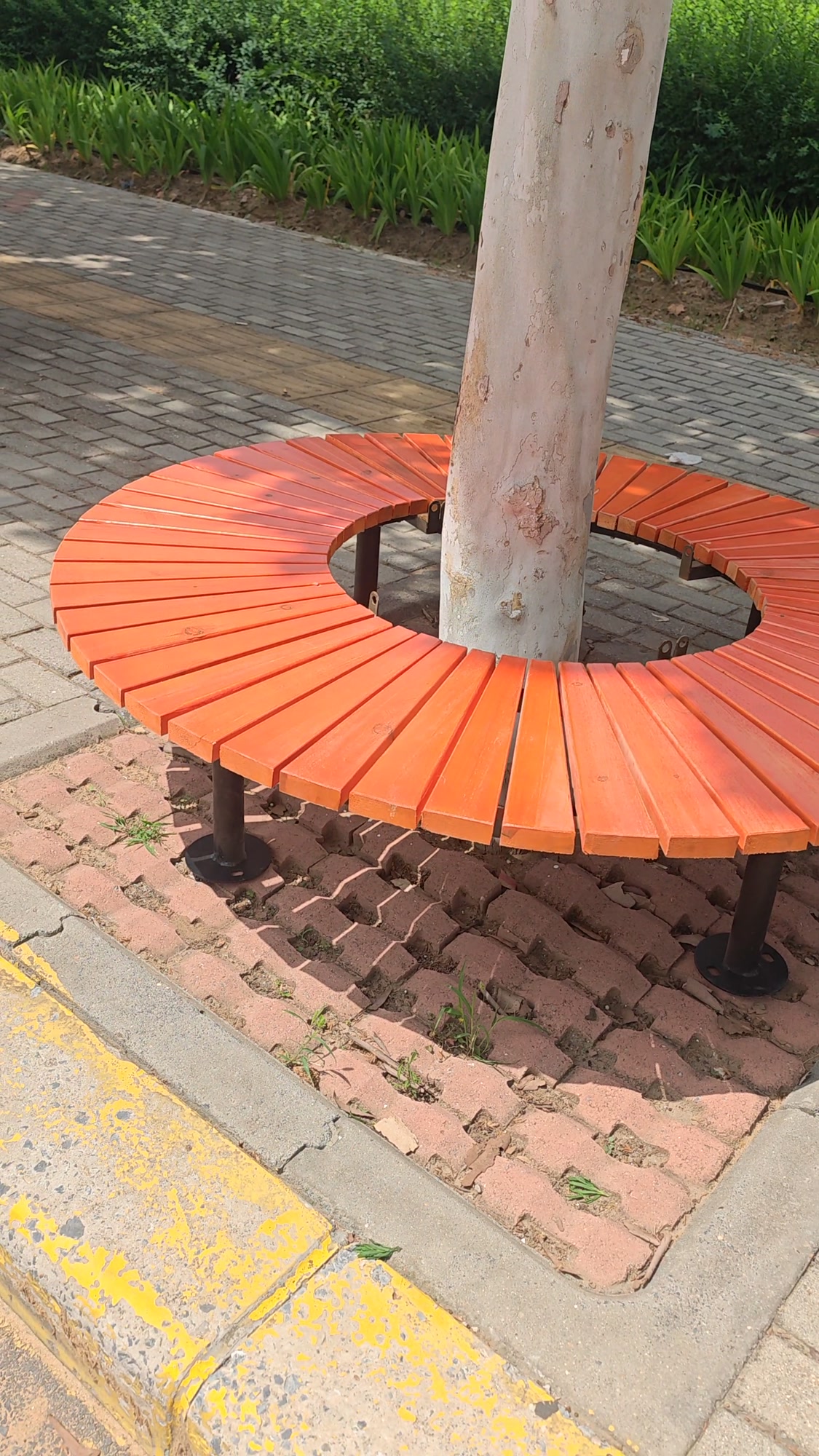 树围椅,圆型座椅,景观设计美观耐用