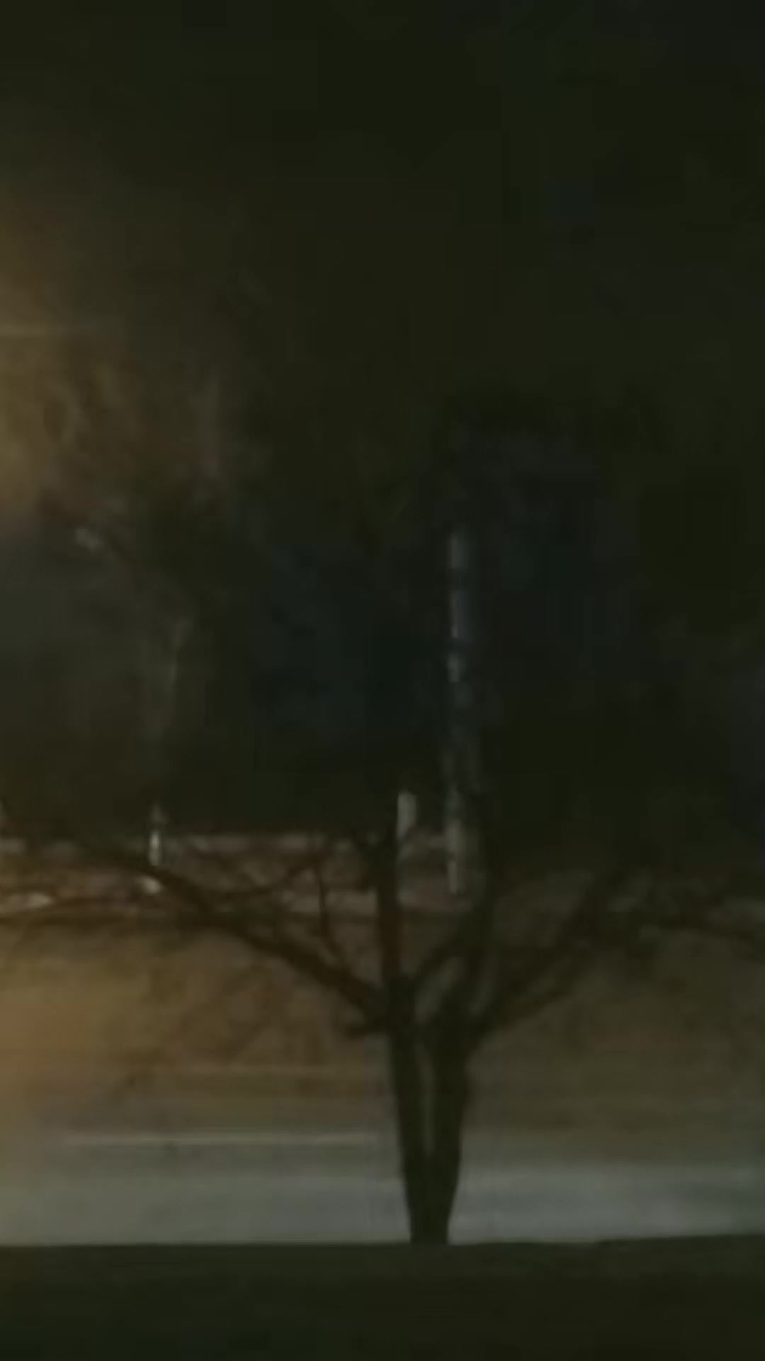 这风刮得鬼哭狼嚎的,听声音都吓人