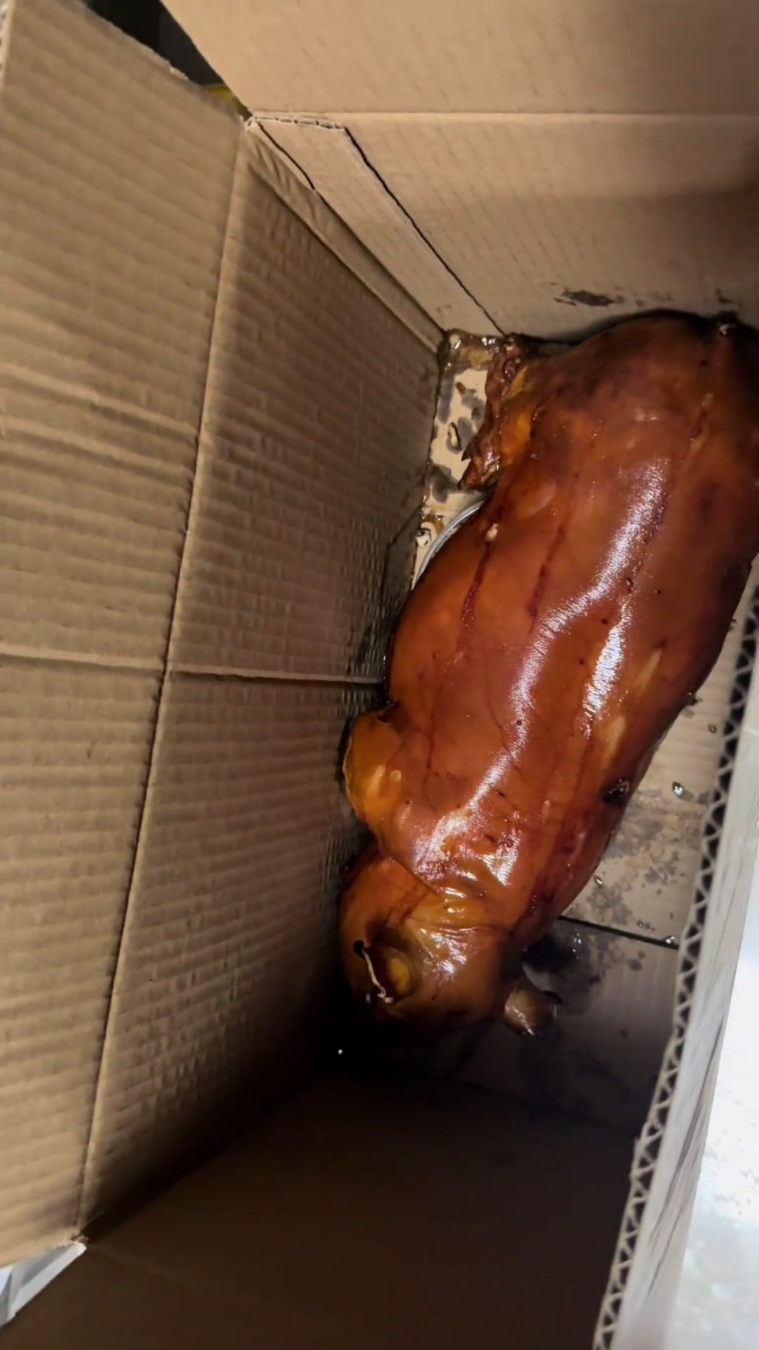 致富经烤乳猪视频(致富经养猪视频全集)