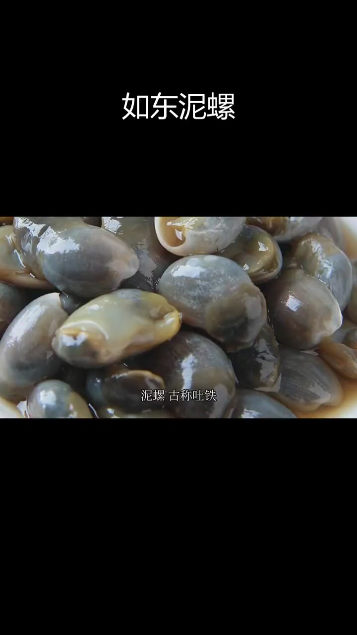 如东泥螺:南通特产,国家地理标志产品