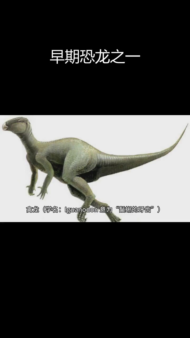 禽龙的发现与特征