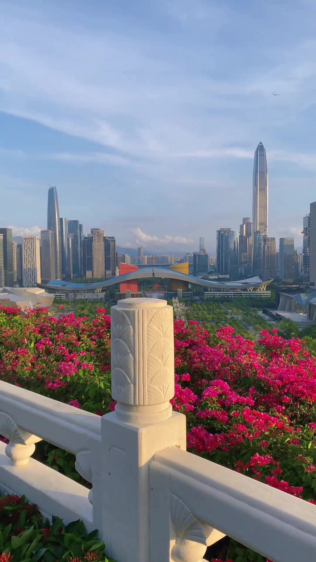 如果你来不了深圳,我把深圳拍给你看,这里是深圳莲花山公园,俯瞰整个