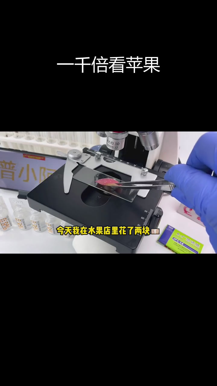 苹果放大一千倍,果肉细胞竟然如此美丽