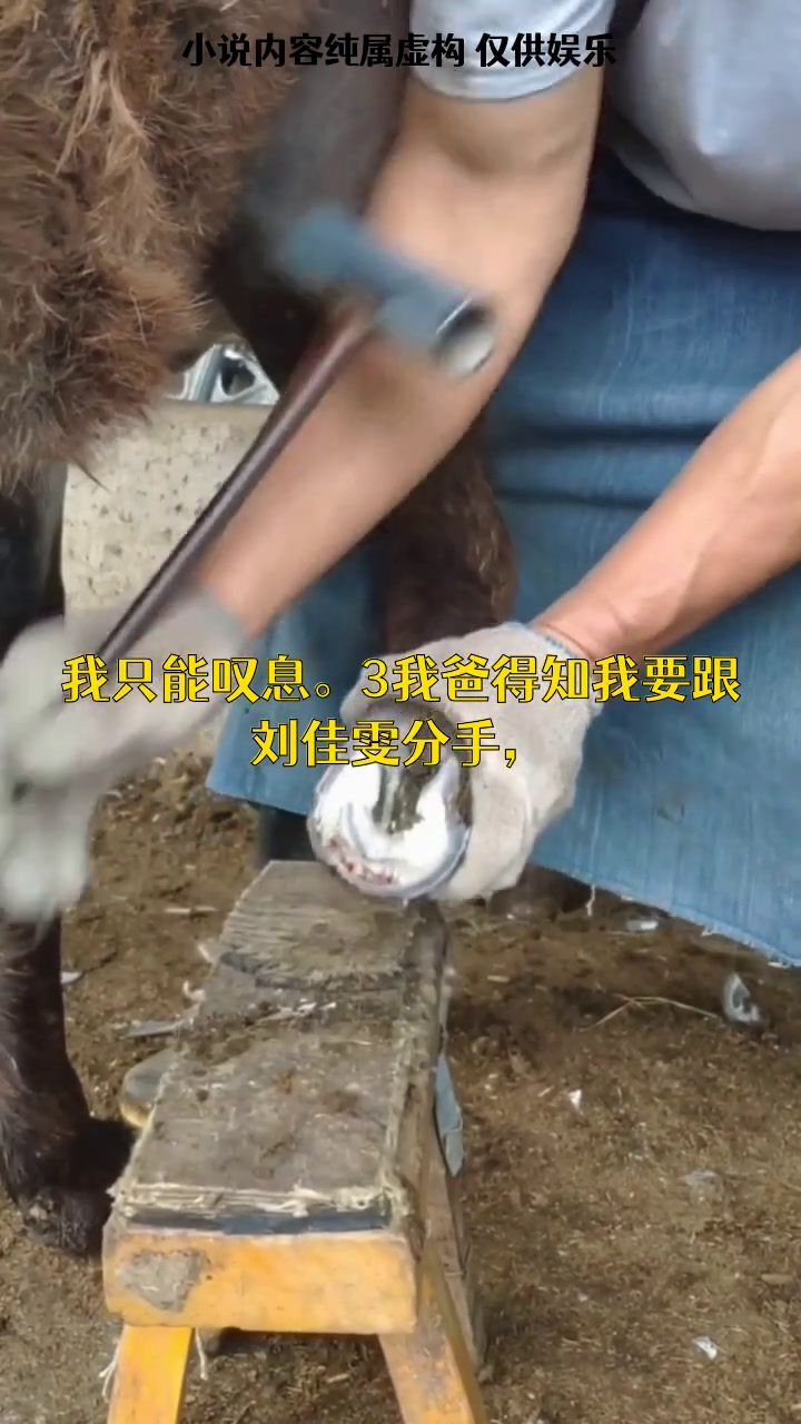 女友背着我约白月光看海,还嫌弃我过往