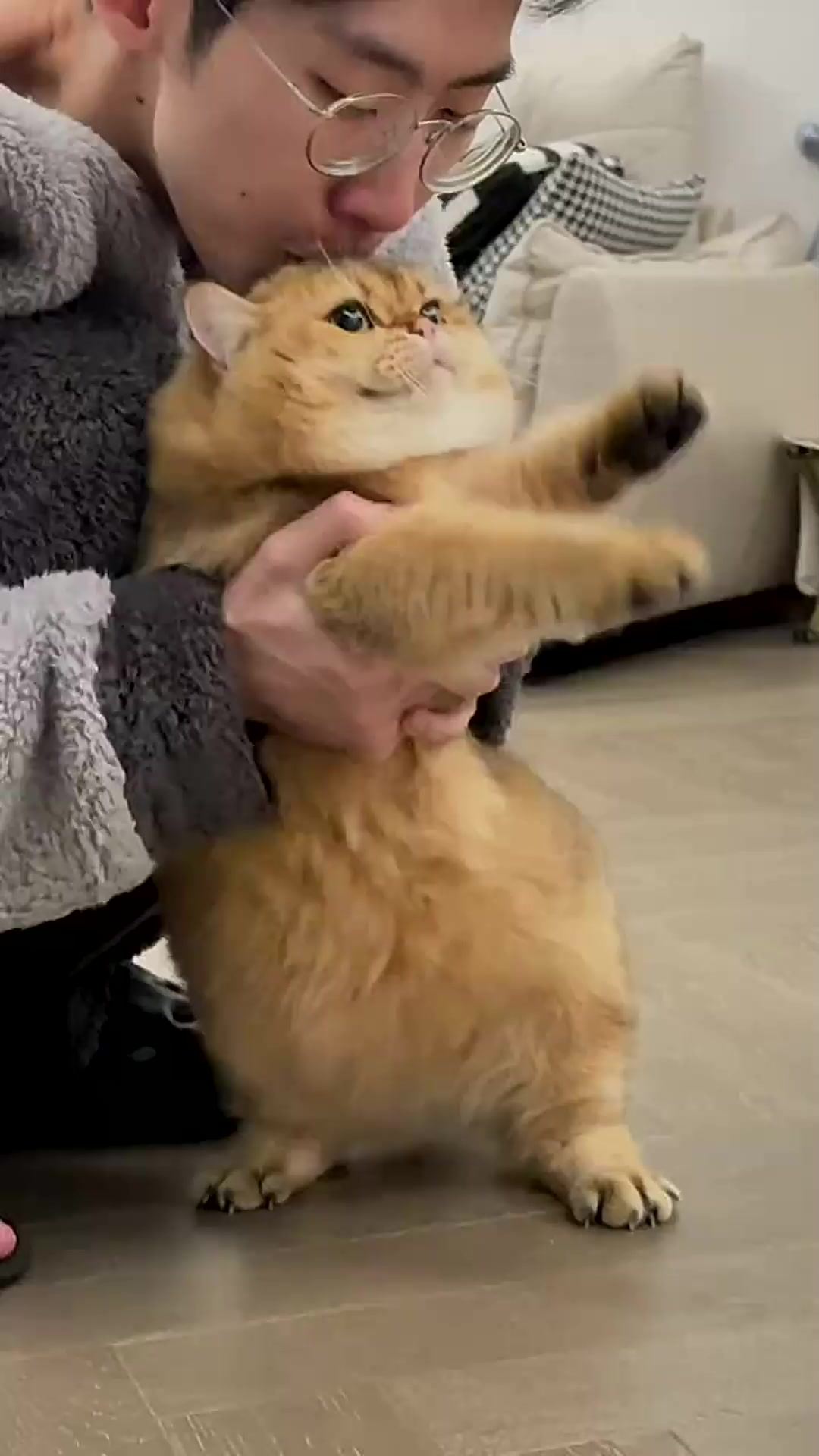 猫咪为什么不喜欢主人亲为什么在线