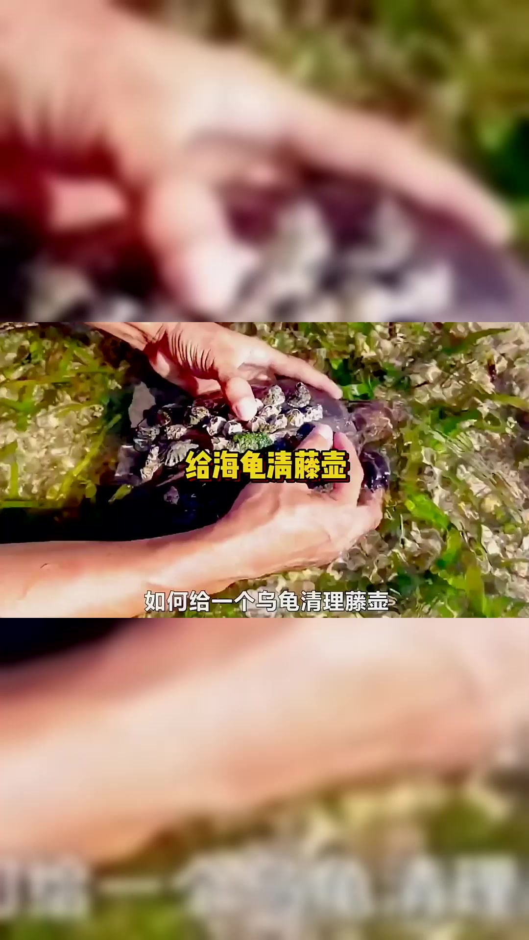 行业 - 股票频道 - 东方财富网(图1) 行业 - 股票频道 - 东方财富网