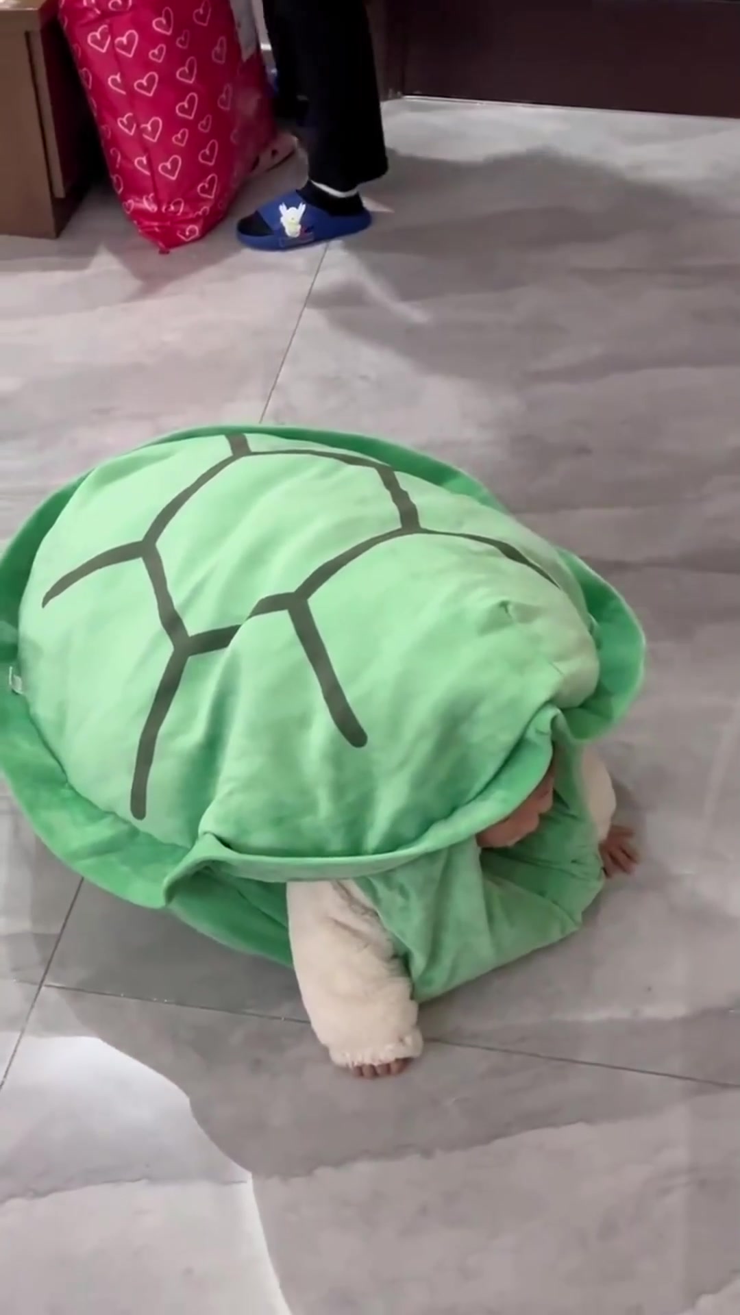 从前有一只小乌龟,她走着走着摔倒了变成了一只缩头乌龟