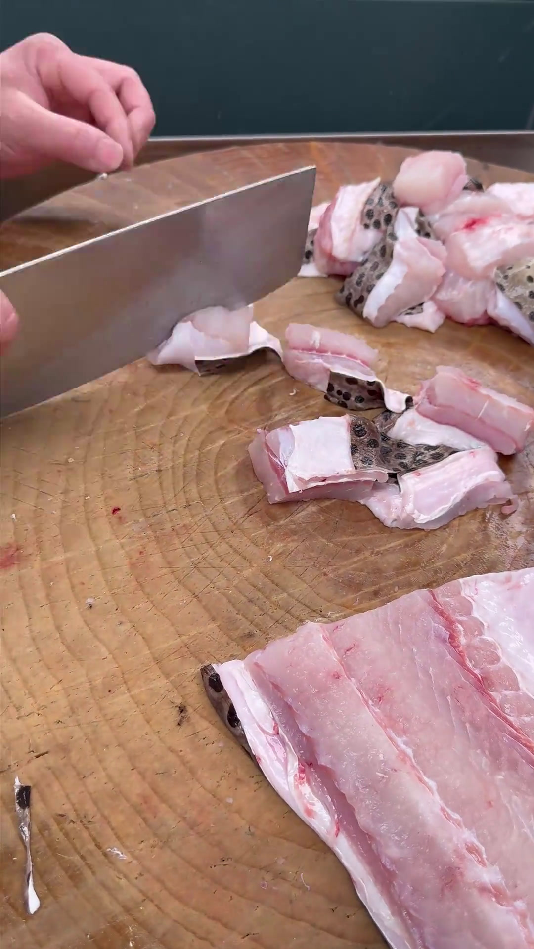 找了一年半才有的金钱鳗,这次跟粉丝们一起分享