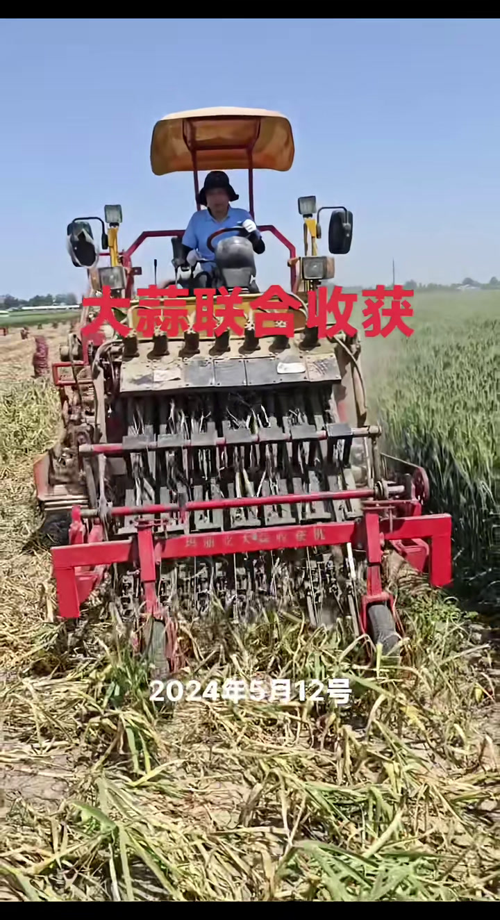 大蒜收获机