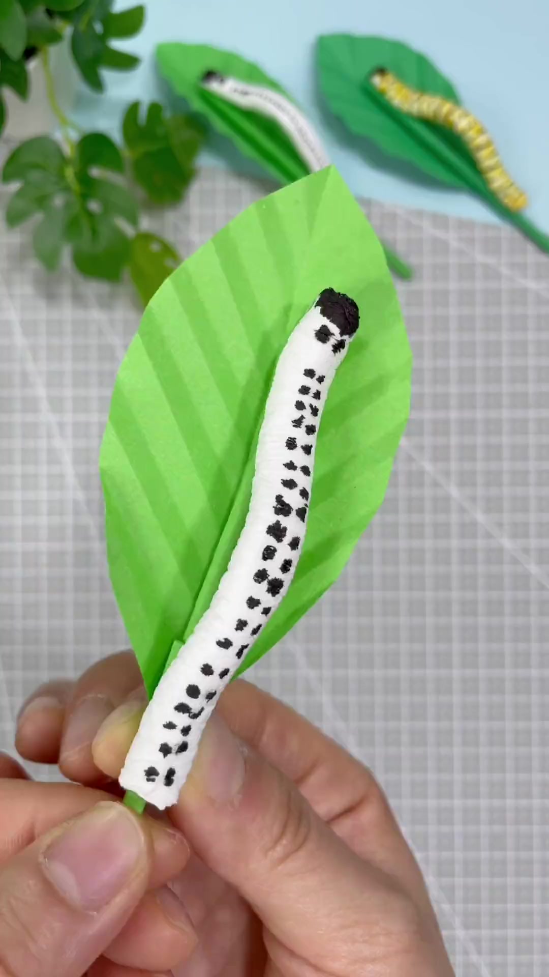 用抽纸就能做可爱的毛毛虫,快来试试吧