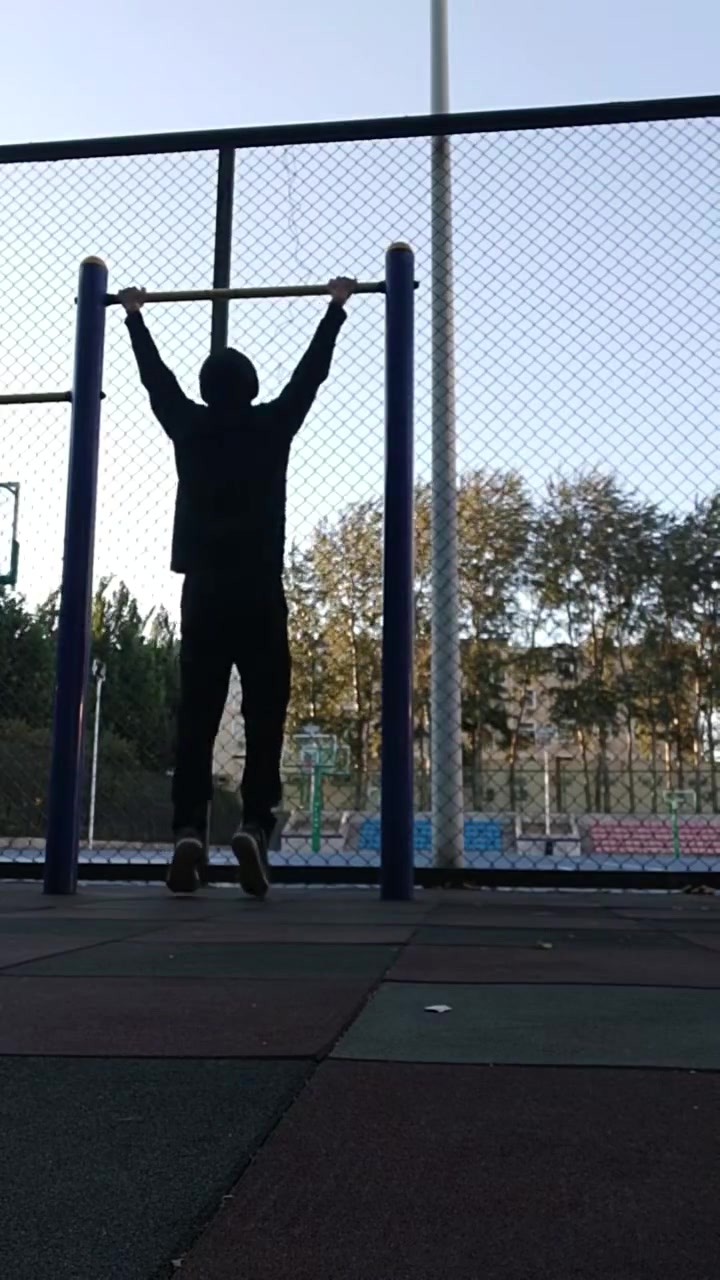 10.9 练习引体向上