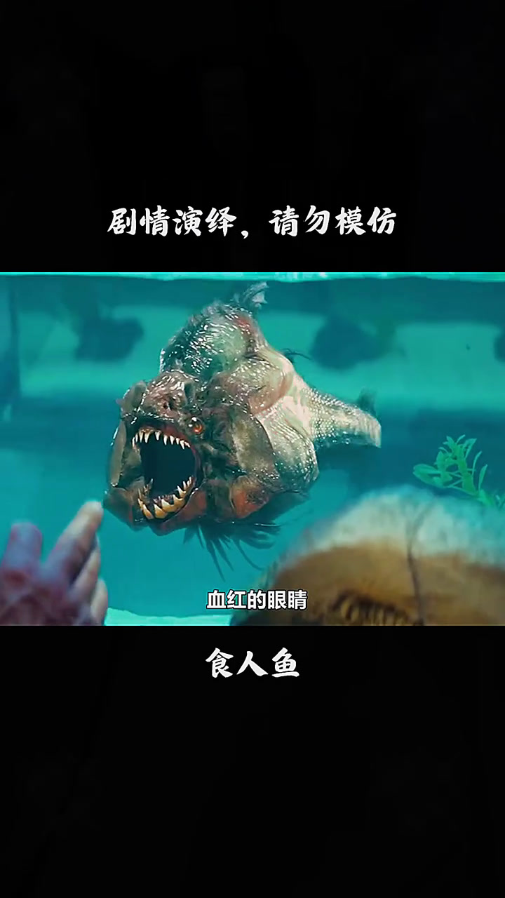 食人鱼