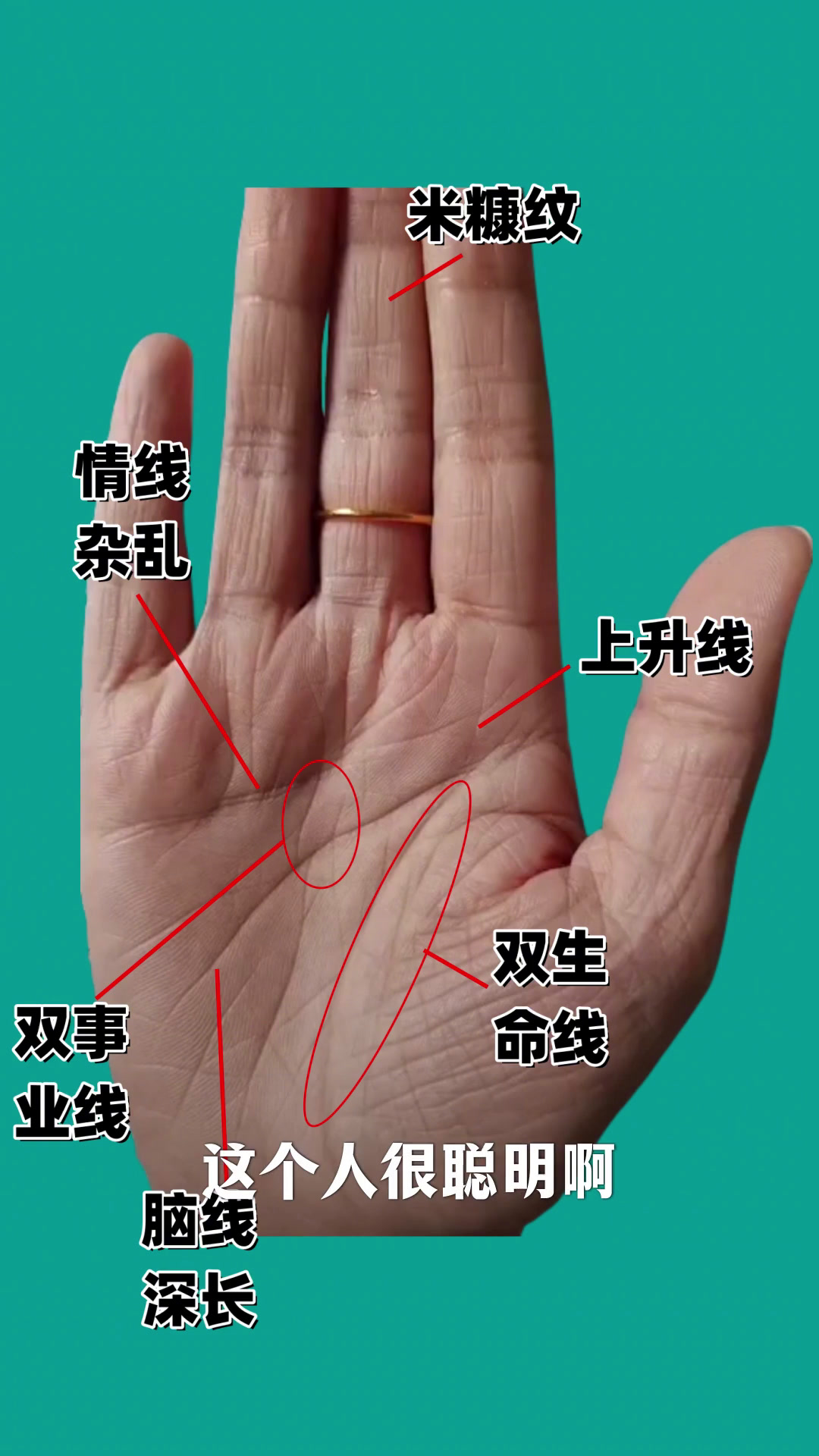 你的手型揭示了哪些智慧与命运?从掌纹看人生运势
