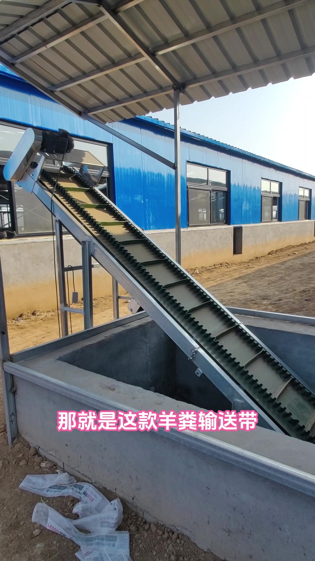 可以干湿分离的羊场带式清粪机,你的羊场用上了么