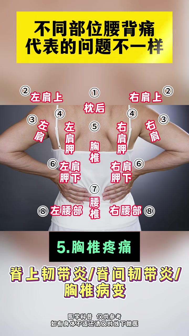不同部位腰背痛代表的问题不一样 腰椎间盘突出 老铁知识百科 快成长