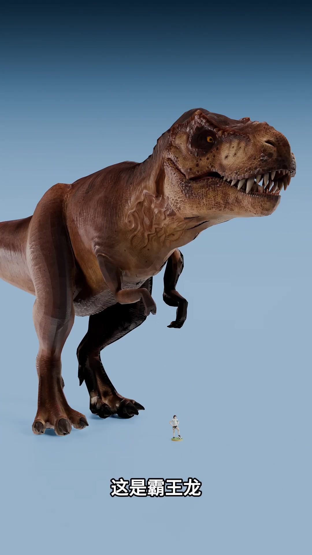 恐龙种类以及鱼类