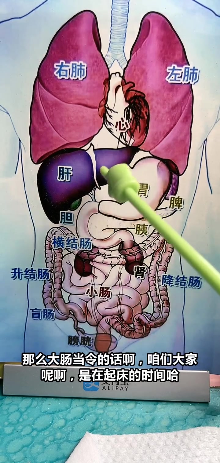 早晨五点到七点,大肠当令,起床后的健康小秘密