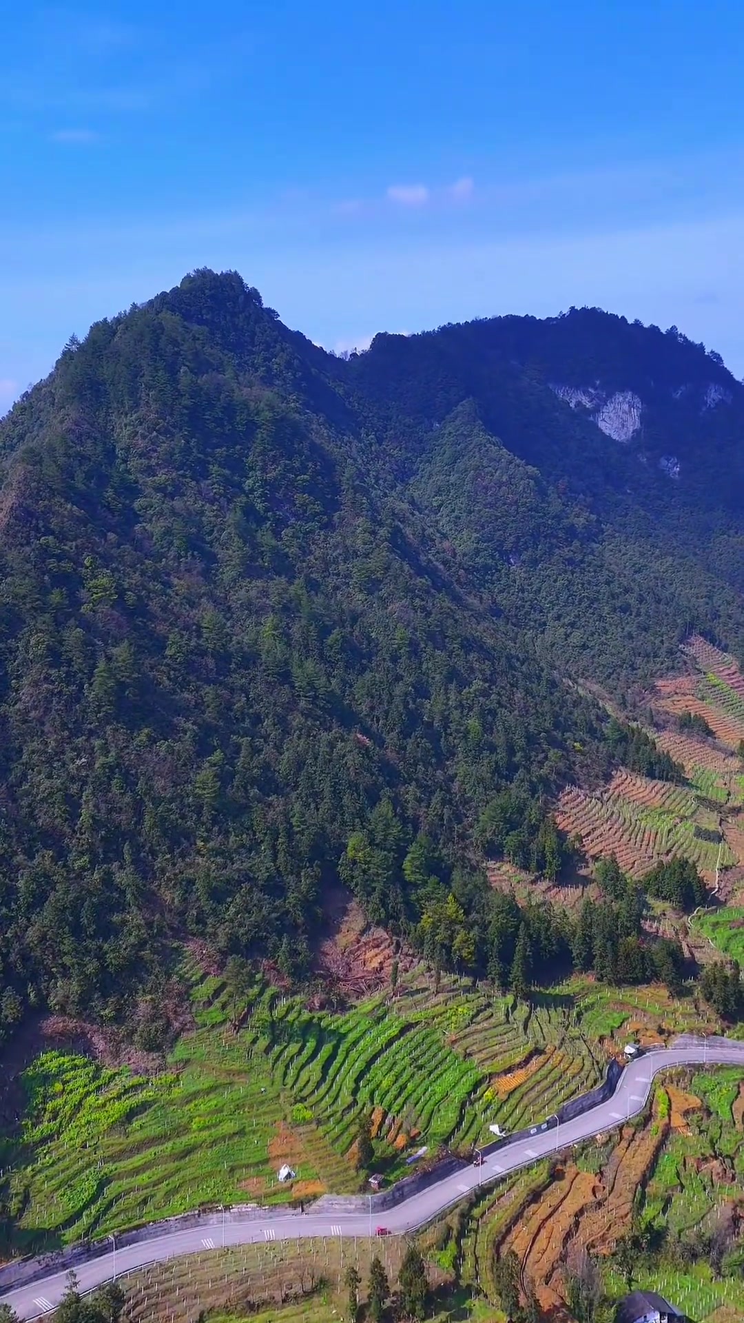 大山里的风景,真自由