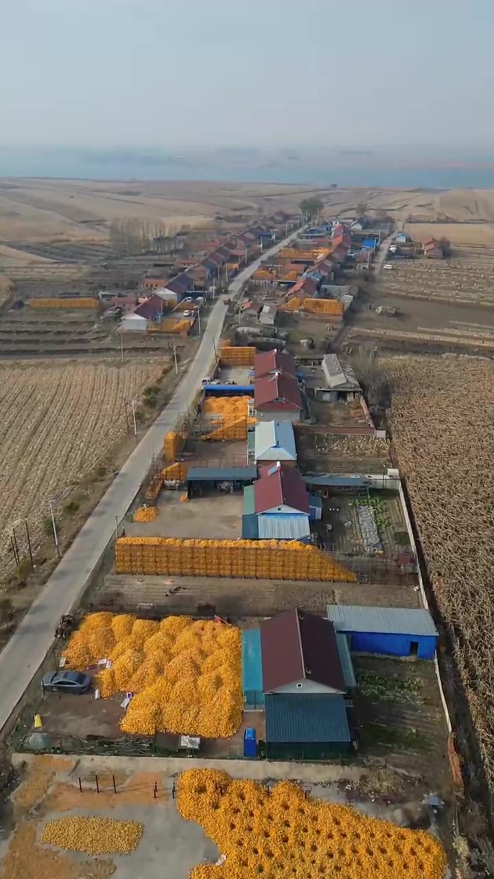 东北乡村秋收"丰"景