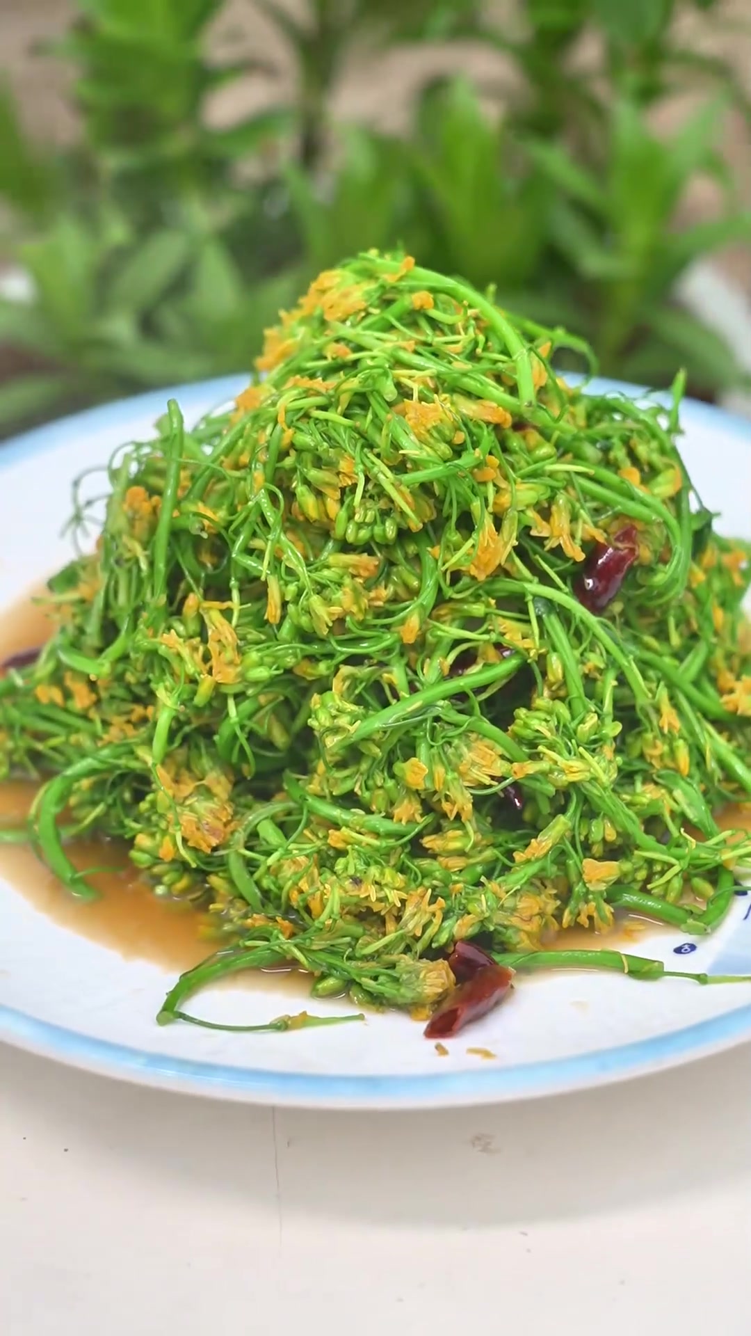 云南人的农村生活,云南的野花你们吃过几种